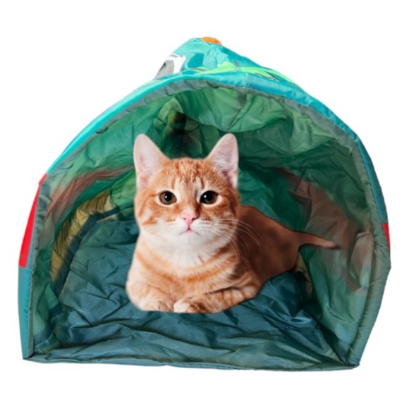 Dinosaur Cat Cave Collapsible Hideaway 18.5"L x 11.5"W x 10"H - Picture 6 of 11
